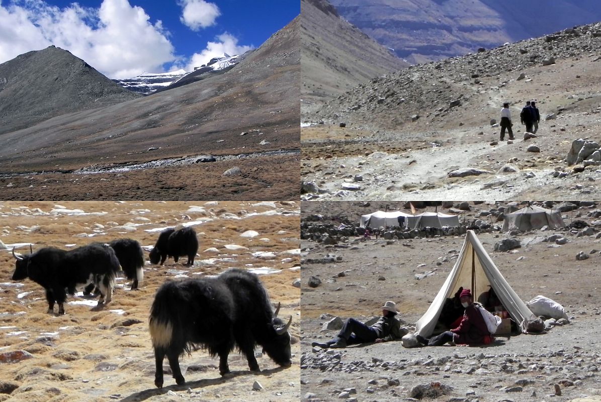 62 Mount Kailash East Face, Yaks, Nomad Tents On Descent Down Eastern Valley On Mount Kailash Outer Kora The trail gradually descends down the Eastern Valley past a view to the Kailash East Face, yaks and temporary nomad tents.